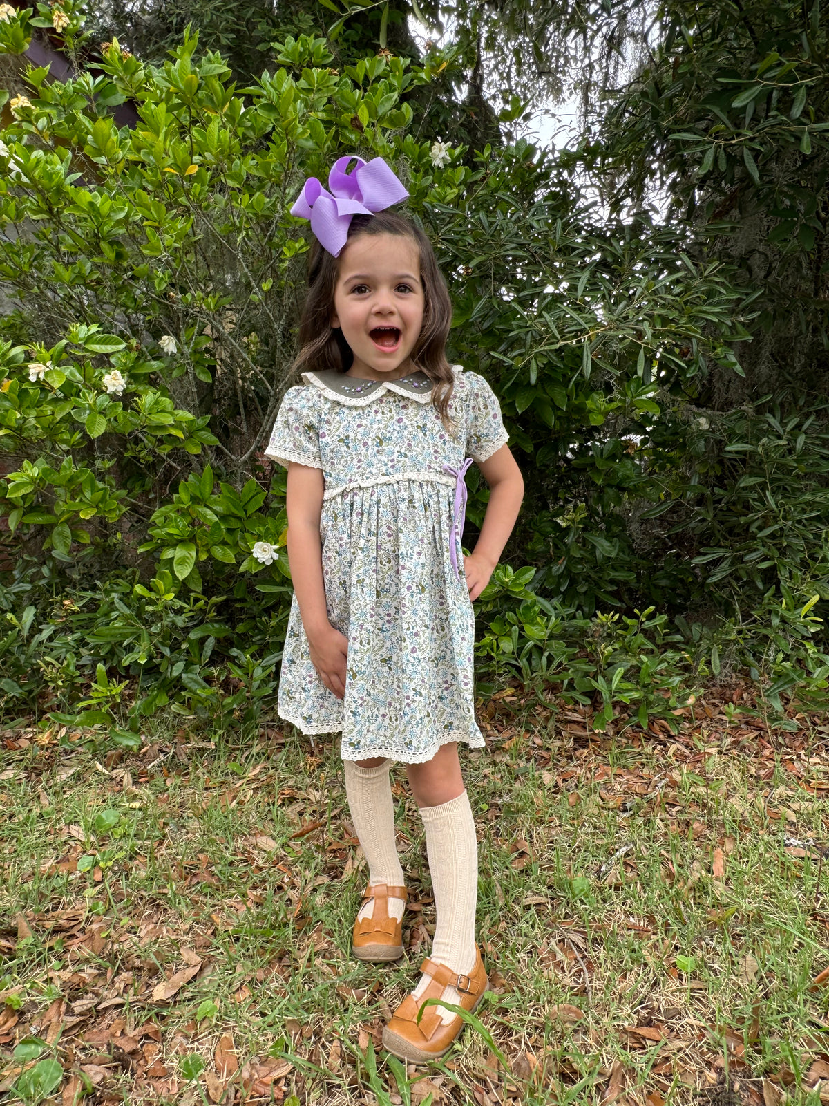 Meadowbrook: Dress