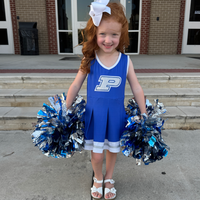 PC Cheer (ETA: JULY)